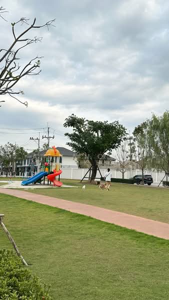 Baan Karnkanok 12 : บ้านกาญจน์กนก 12, เชียงใหม่, ซุปเปอร์ไฮเวย์เชียงใหม่, ไชยสถาน, สารภี, เชียงใหม่, 220 ตร.ม., บ้านเดี่ยว ให้เช่า, โดย Aonanong Tajakhod, 500235371 - DDproperty.com