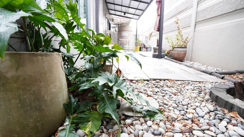 Baan Klang Muang The Edition Rama 9-Krungthep Kreetha : บ้านกลางเมือง ดิ อิดิชั่น พระราม9-กรุงเทพกรีฑา, กรุงเทพ, ถนนกาญจนาภิเษก 23, สะพานสูง, สะพานสูง, กรุงเทพ, 218 ตร.ม., บ้านเดี่ยว ให้เช่า, โดย Miss Nana, 500235374 - DDproperty.com