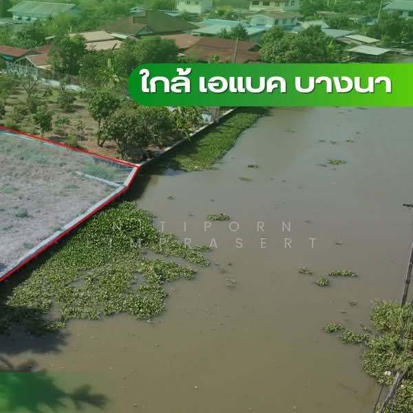 Waterfront land for sale, Bangna-Trad KM.25, near ABAC Bangna., Samut Prakan, Bang Sao Thong, Bang Sao Thong, Samut Prakan, , 800 sqm, Land For Sale, by Nitiporn Limprasert, 500235385 - DDproperty.com
