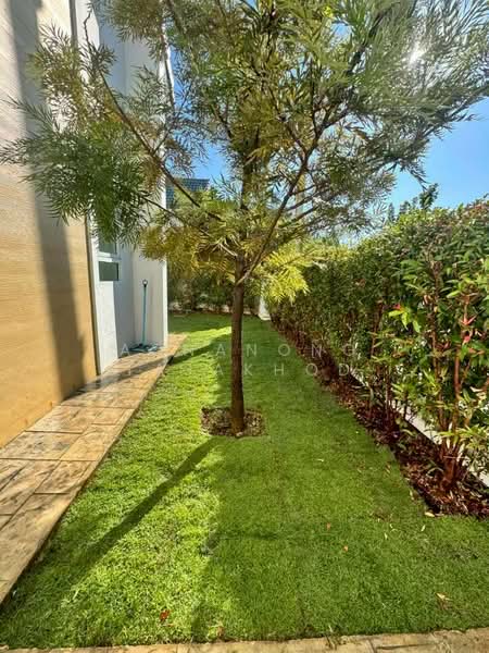 Pool Villa in Baan Tawai, Chiang Mai, Khun Dong, Hang Dong, Chiang Mai, 3 Bedrooms, 140 sqm, Villa For Rent, by Aonanong Tajakhod, 500235397 - DDproperty.com