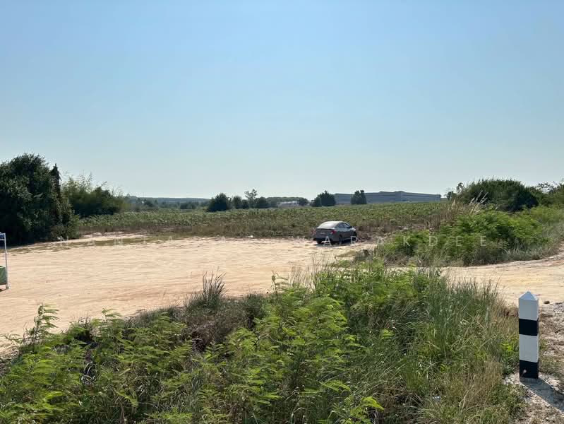 ที่ดินระยอง 48 ไร่, ระยอง, นิคมพัฒนา, นิคมพัฒนา, ระยอง, 77,456 ตร.ม., ที่ดิน ขาย, โดย Nantapat Warakdee, 500235440 - DDproperty.com