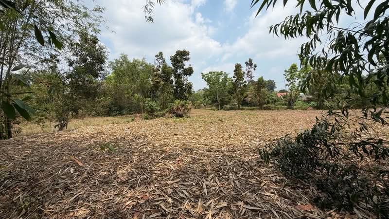 ขายที่ดิน 5-2-55.4 ไร่ เกาะหวาย ปากพลี นครนายก 20 โลถึงเขาใหญ่ ติดถนนสาธารณะ, Nakhon Nayok, Ko Wai, Pak Phli, Nakhon Nayok, , 11,020 sqm, Land For Sale, by Nattakan nueaiam, 500235456 - DDproperty.com