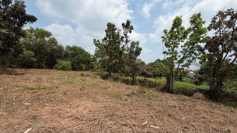 ขายที่ดิน 5-2-55.4 ไร่ เกาะหวาย ปากพลี นครนายก 20 โลถึงเขาใหญ่ ติดถนนสาธารณะ, นครนายก, เกาะหวาย, ปากพลี, นครนายก, 11,020 ตร.ม., ที่ดิน ขาย, โดย Nattakan nueaiam, 500235456 - DDproperty.com