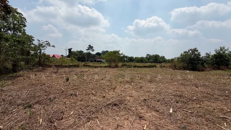 ขายที่ดิน 5-2-55.4 ไร่ เกาะหวาย ปากพลี นครนายก 20 โลถึงเขาใหญ่ ติดถนนสาธารณะ, Nakhon Nayok, Ko Wai, Pak Phli, Nakhon Nayok, , 11,020 sqm, Land For Sale, by Nattakan nueaiam, 500235456 - DDproperty.com