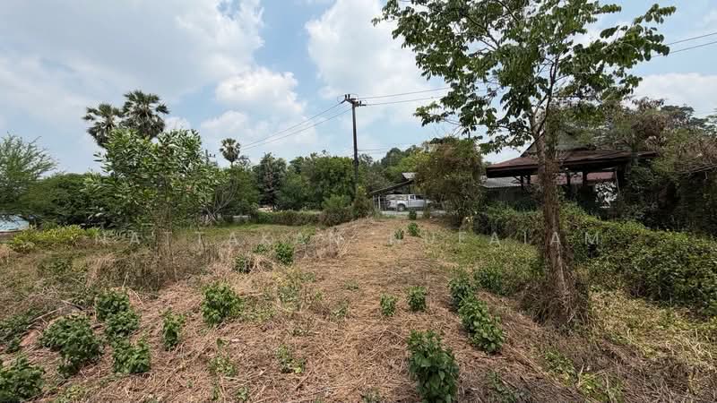 ขายที่ดิน 5-2-55.4 ไร่ เกาะหวาย ปากพลี นครนายก 20 โลถึงเขาใหญ่ ติดถนนสาธารณะ, นครนายก, เกาะหวาย, ปากพลี, นครนายก, 11,020 ตร.ม., ที่ดิน ขาย, โดย Nattakan nueaiam, 500235456 - DDproperty.com