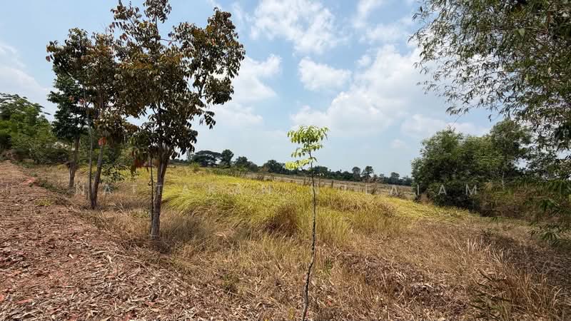 ขายที่ดิน 5-2-55.4 ไร่ เกาะหวาย ปากพลี นครนายก 20 โลถึงเขาใหญ่ ติดถนนสาธารณะ, Nakhon Nayok, Ko Wai, Pak Phli, Nakhon Nayok, , 11,020 sqm, Land For Sale, by Nattakan nueaiam, 500235456 - DDproperty.com