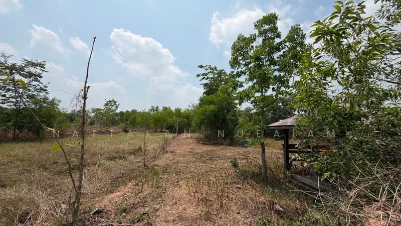 ขายที่ดิน 5-2-55.4 ไร่ เกาะหวาย ปากพลี นครนายก 20 โลถึงเขาใหญ่ ติดถนนสาธารณะ, นครนายก, เกาะหวาย, ปากพลี, นครนายก, 11,020 ตร.ม., ที่ดิน ขาย, โดย Nattakan nueaiam, 500235456 - DDproperty.com