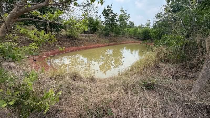 ขายที่ดิน 5-2-55.4 ไร่ เกาะหวาย ปากพลี นครนายก 20 โลถึงเขาใหญ่ ติดถนนสาธารณะ, Nakhon Nayok, Ko Wai, Pak Phli, Nakhon Nayok, , 11,020 sqm, Land For Sale, by Nattakan nueaiam, 500235456 - DDproperty.com