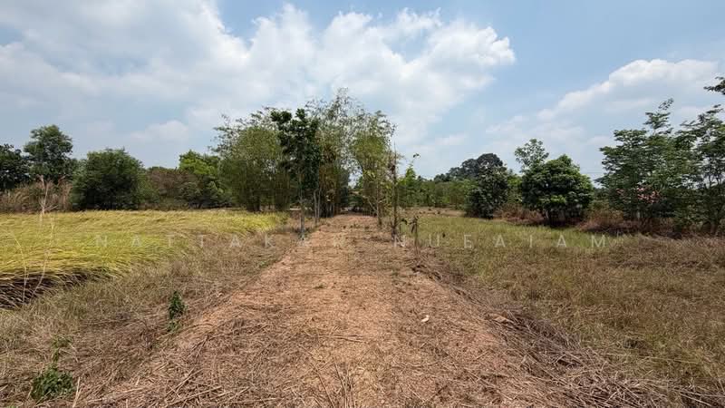 ขายที่ดิน 5-2-55.4 ไร่ เกาะหวาย ปากพลี นครนายก 20 โลถึงเขาใหญ่ ติดถนนสาธารณะ, Nakhon Nayok, Ko Wai, Pak Phli, Nakhon Nayok, , 11,020 sqm, Land For Sale, by Nattakan nueaiam, 500235456 - DDproperty.com