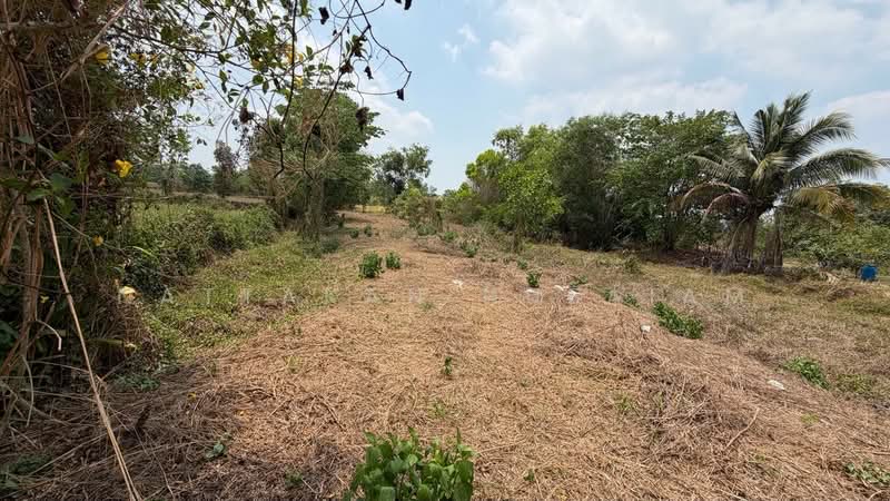 ขายที่ดิน 5-2-55.4 ไร่ เกาะหวาย ปากพลี นครนายก 20 โลถึงเขาใหญ่ ติดถนนสาธารณะ, นครนายก, เกาะหวาย, ปากพลี, นครนายก, 11,020 ตร.ม., ที่ดิน ขาย, โดย Nattakan nueaiam, 500235456 - DDproperty.com