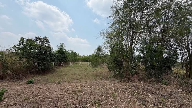 ขายที่ดิน 5-2-55.4 ไร่ เกาะหวาย ปากพลี นครนายก 20 โลถึงเขาใหญ่ ติดถนนสาธารณะ, นครนายก, เกาะหวาย, ปากพลี, นครนายก, 11,020 ตร.ม., ที่ดิน ขาย, โดย Nattakan nueaiam, 500235456 - DDproperty.com