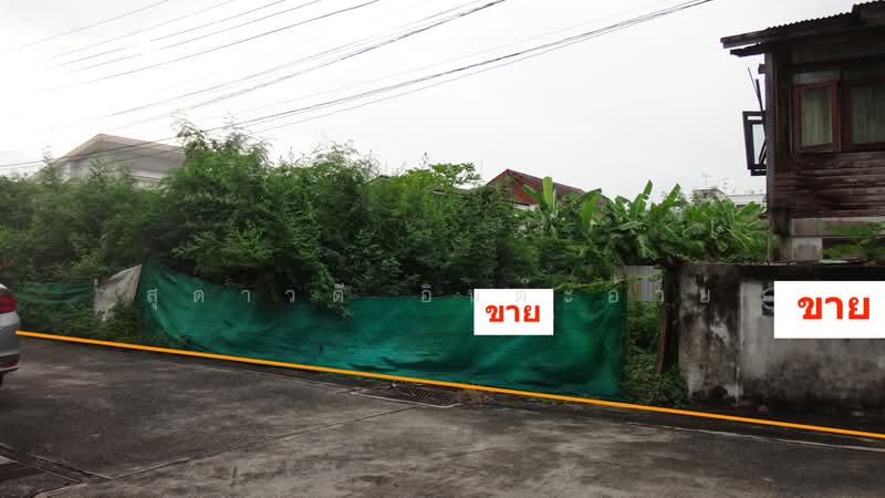 ขายที่ดิน สุขุมวิท 62 แยก 5 ทำเลศักยภาพ ใกล้ BTS ทางด่วน, Bangkok, สุขุมวิท, Bang Chak, Phra Khanong, Bangkok, , 504 sqm, Land For Sale, by สุดาวดี อินต๊ะอ้าย, 500235490 - DDproperty.com