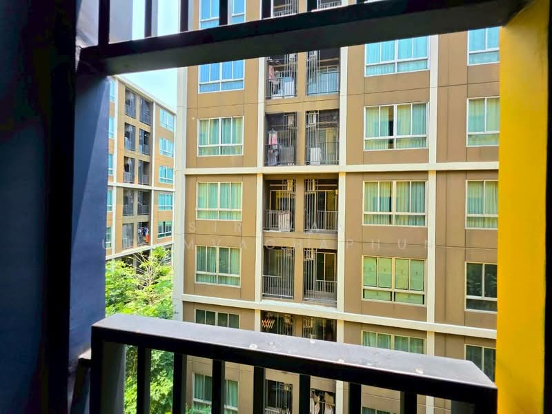 Dcondo Shine Rangsit, Pathum Thani, Khlong Nung, Khlong Luang, Pathum Thani, 1 Bedroom, 26 sqm, Condo For Rent, by Siriwan Udomvachaphun, 500235504 - DDproperty.com