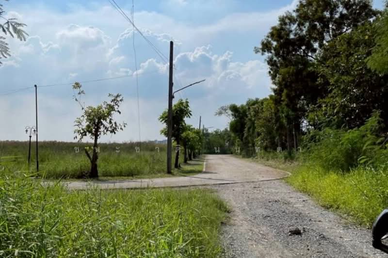 ซอยบางนาการ์เด้น, Samut Prakan, Bang Sao Thong, Bang Sao Thong, Samut Prakan, , 3,200 sqm, Land For Sale, by ชนะชาติ นนท์ตา, 500235521 - DDproperty.com