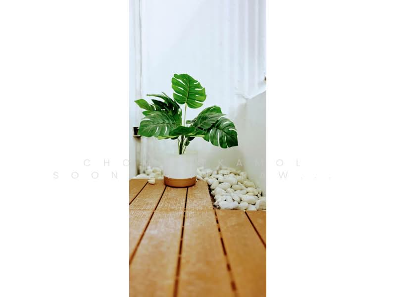 Icon III, Bangkok, 858 Sukhumvit Road, Khlong Tan Nua, Watthana, Bangkok, 1 Bedroom, 63 sqm, Condo For Rent, by Chomratkamol Soontorntarawong (Gor), 500235591 - DDproperty.com
