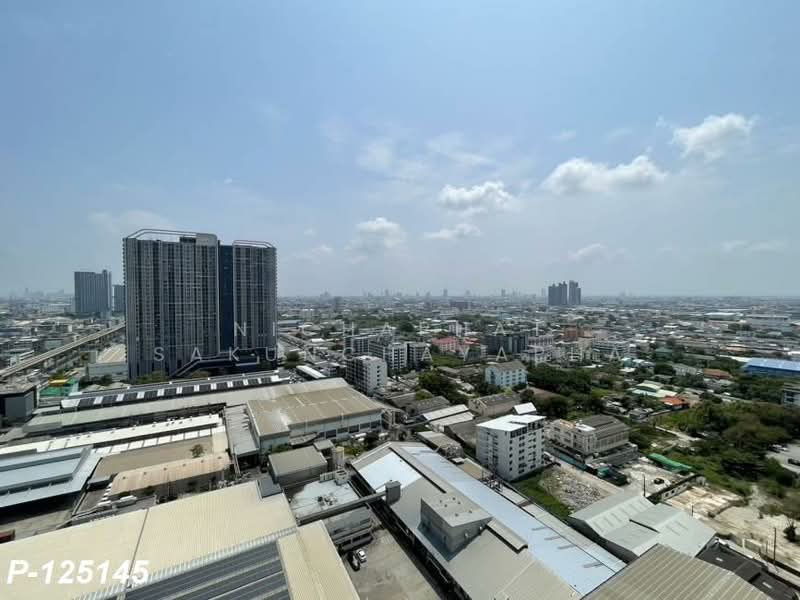 Supalai Veranda Sukhumvit 117 : ศุภาลัย เวอเรนด้า สุขุมวิท 117, สมุทรปราการ, ถ. สุขุมวิท 117, บางเมืองใหม่, เมืองสมุทรปราการ, สมุทรปราการ, 29 ตร.ม., คอนโด ให้เช่า, โดย Nichaphat Sakunchayapha, 500235799 - DDproperty.com