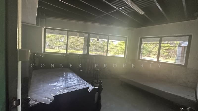 ไม่พบโครงการ, Bangkok, บรมราชชนนี, Sala Thammasop, Thawi Watthana, Bangkok, 3 Bedrooms, 280 sqm, Single Detached House For Sale, by Connex Property, 500235869 - DDproperty.com