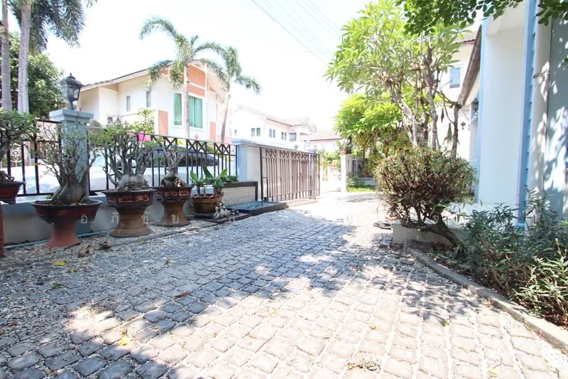 Baan Fah Piyarom - Lumlukka Klong 6 : บ้านฟ้าปิยรมย์ รังสิต - ลำลูกกา คลอง 6, ปทุมธานี, ถนนลำลูกกา คลอง 6 (ออก), บึงคำพร้อย, ลำลูกกา, ปทุมธานี, 127 ตร.ม., บ้านเดี่ยว ขาย, โดย อภิชัย ลิ้มไชยโรจน์, 500235878 - DDproperty.com