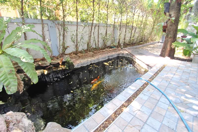 Baan Fah Piyarom - Lumlukka Klong 6, Pathum Thani, Lam Luk Ka Road, Khlong 6 (Exit), Bung Kham Proi, Lam Luk Ka, Pathum Thani, 3 Bedrooms, 127 sqm, Single Detached House For Sale, by อภิชัย ลิ้มไชยโรจน์, 500235878 - DDproperty.com