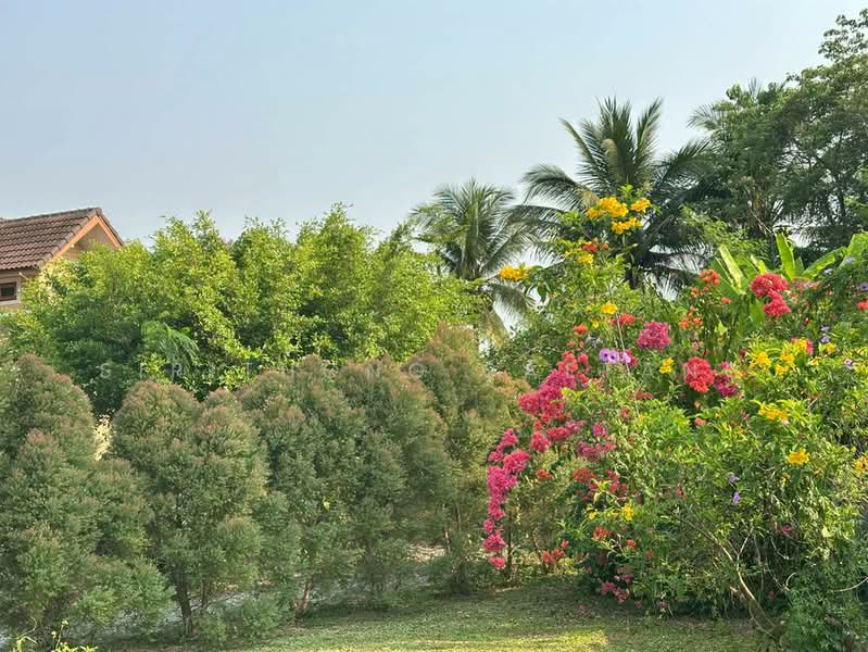 Chiang Rai Vacation home with 517 square wah of land in Huai Sak, Mueang Chiang Rai, Chiang Rai, 1020, Huai Sak, Muang Chiang Rai, Chiang Rai, 4 Bedrooms, 200 sqm, Single Detached House For Sale, by Sirithong Saetang, 500235973 - DDproperty.com