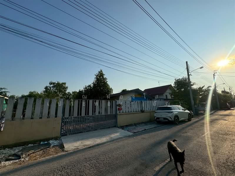 บ้านเดี่ยว 1 ชั้น 80 ตร.ว. หมู่บ้านร่มไทร4 ซอยวัดราษฎร์นิยม, Nonthaburi, ถนนบางบัวทอง-สุพรรณบุรี, Rat Niyom, Sai Noi, Nonthaburi, 2 Bedrooms, 300 sqm, Single Detached House For Sale, by คุณ ผ่องใส เปาะทอง (อัญ), 500236023 - DDproperty.com