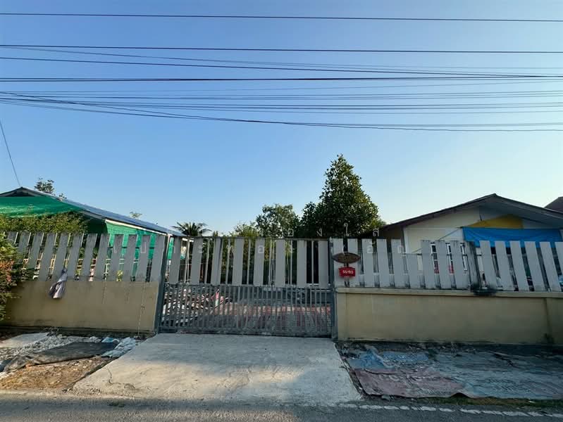 บ้านเดี่ยว 1 ชั้น 80 ตร.ว. หมู่บ้านร่มไทร4 ซอยวัดราษฎร์นิยม, Nonthaburi, ถนนบางบัวทอง-สุพรรณบุรี, Rat Niyom, Sai Noi, Nonthaburi, 2 Bedrooms, 300 sqm, Single Detached House For Sale, by คุณ ผ่องใส เปาะทอง (อัญ), 500236023 - DDproperty.com