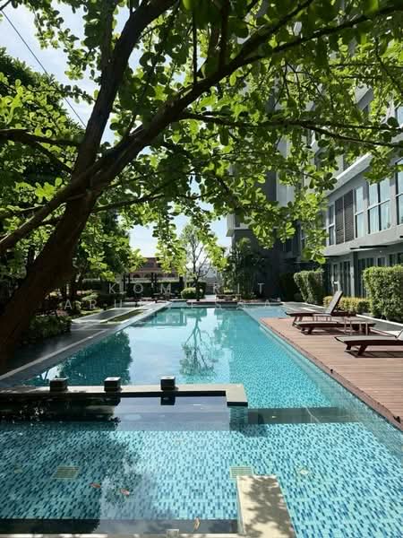 IDEO MOBI Sukhumvit 81, Bangkok, 2097 Sukhumvit Road, Bang Chak, Phra Khanong, Bangkok, 1 Bedroom, 30 sqm, Condo For Rent, by Komkrit  Arunvessased , 500236087 - DDproperty.com