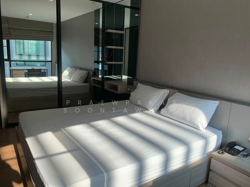 Tree Condo สุขุมวิท 50 (ทรี คอนโด สุขุมวิท 50), กรุงเทพ, - ถนนสุขุมวิท, พระโขนง, คลองเตย, กรุงเทพ, 32 ตร.ม., คอนโด ให้เช่า, โดย Praewpakar Soontawong, 500236156 - DDproperty.com