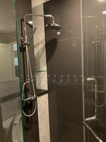 Tree Condo Sukhumvit 50, Bangkok, - Sukhumvit Road, Phra Kanong, Khlong Toei, Bangkok, 1 Bedroom, 32 sqm, Condo For Rent, by Praewpakar Soontawong, 500236156 - DDproperty.com