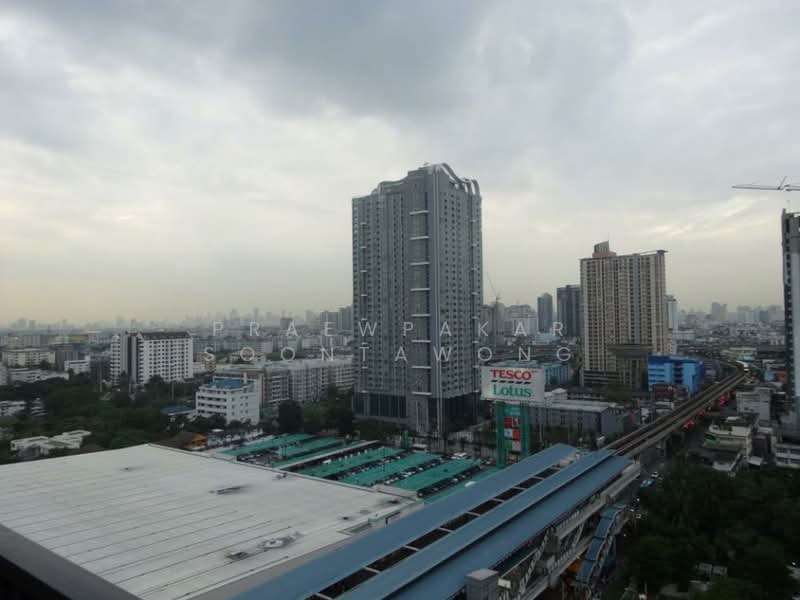 The President Sukhumvit 81 : เดอะ เพรสซิเดนท์ สุขุมวิท 81, กรุงเทพ, ซอยสุขุมวิท 81 ถนนสุขุมวิท, พระโขนงเหนือ, วัฒนา, กรุงเทพ, 35 ตร.ม., คอนโด ให้เช่า, โดย Praewpakar Soontawong, 500236169 - DDproperty.com