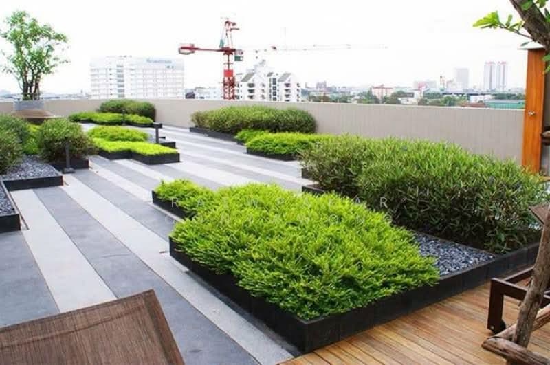 Sari by Sansiri, Bangkok, 36 Sukhumvit Road, Bang Chak, Phra Khanong, Bangkok, 1 Bedroom, 37 sqm, Condo For Rent, by Praewpakar Soontawong, 500236172 - DDproperty.com