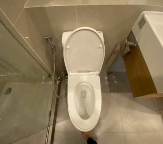 Serio Sukhumvit 50, Bangkok, Soi Sukhumvit 50, Phra Kanong, Khlong Toei, Bangkok, 1 Bedroom, 32 sqm, Condo For Rent, by Praewpakar Soontawong, 500236181 - DDproperty.com