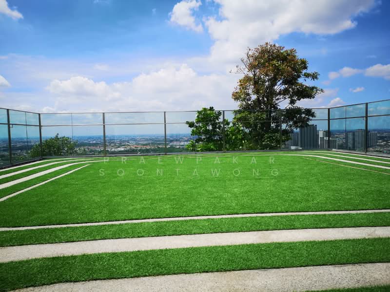 Altitude Unicorn Sathorn-Tha Phra, Bangkok, Ratchaphruek Road, Talat Plu, Thon Buri, Bangkok, 1 Bedroom, 31 sqm, Condo For Rent, by Praewpakar Soontawong, 500236194 - DDproperty.com