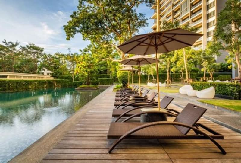 Zire Wongamat, Chon Buri (Pattaya), 456 Soi Naklua 18, Na Kloe, Bang Lamung (Pattaya), Chon Buri (Pattaya), Studio, 39 sqm, Condo For Sale, by Pornpun Promlert, 500236208 - DDproperty.com