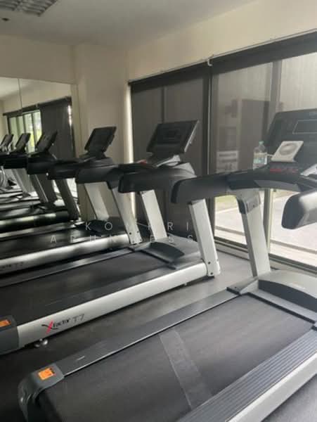 Noble Solo, Bangkok, 988 Thong Lo, Khlong Tan Nua, Watthana, Bangkok, 1 Bedroom, 34 sqm, Condo For Sale, by Komkrit  Arunvessased , 500236212 - DDproperty.com