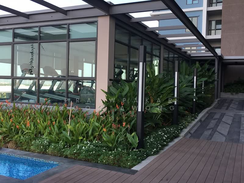 Rich Park @ Triple Station : ริช พาร์ค แอท ทริปเปิ้ล สเตชั่น, กรุงเทพ, 591 ถนนศรีนครินทร์, สวนหลวง, สวนหลวง, กรุงเทพ, 28 ตร.ม., คอนโด ให้เช่า, โดย Praewpakar Soontawong, 500236344 - DDproperty.com