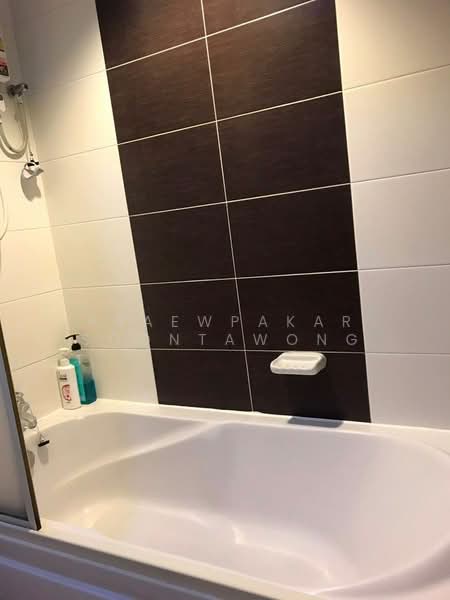 Grand Park View Asoke, Bangkok, 21 Sukhumvit Road, Khlongtoei Nua, Watthana, Bangkok, 1 Bedroom, 36 sqm, Condo For Rent, by Praewpakar Soontawong, 500236366 - DDproperty.com