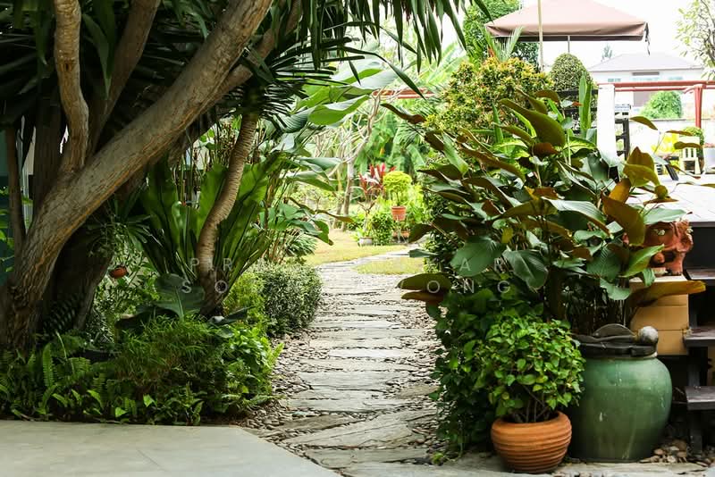 Bellevue Boutique Bangkok, Bangkok, Srinagarindra 16 Alley, Suan Luang, Suan Luang, Bangkok, 1 Bedroom, 43 sqm, Apartment For Rent, by Praewpakar Soontawong, 500236406 - DDproperty.com