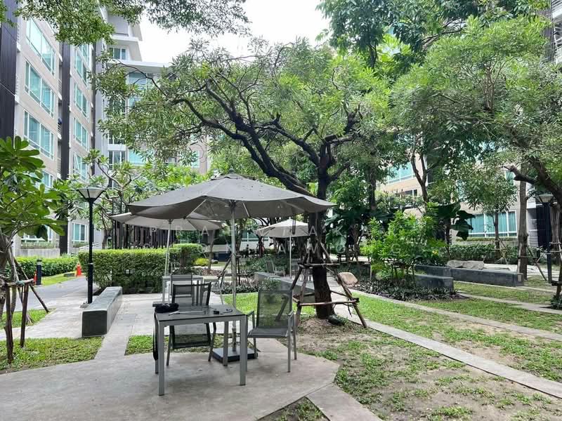 Elements Srinakarin : อิลีเม้นท์ ศรีนครินทร์, กรุงเทพ, 43-1 ซอยสุภาพงษ์ 3 แยก 4 ถนนศรีนครินทร์, หนองบอน, ประเวศ, กรุงเทพ, 37 ตร.ม., คอนโด ให้เช่า, โดย Praewpakar Soontawong, 500236421 - DDproperty.com