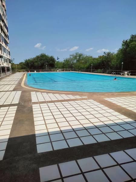 Pattaya Plaza Condotel, Chon Buri (Pattaya), Nong Pru, Bang Lamung (Pattaya), Chon Buri (Pattaya), Studio, 49 sqm, Condo For Sale, by Regina Nuengjamnong, 500236452 - DDproperty.com
