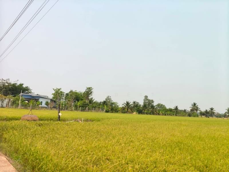 For Sale - ที่ดินบ้านกร่าง พิษณุโลก, Phitsanulok