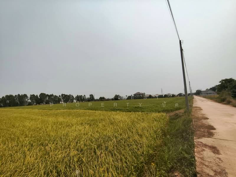 For Sale - ที่ดินบ้านกร่าง พิษณุโลก, Phitsanulok