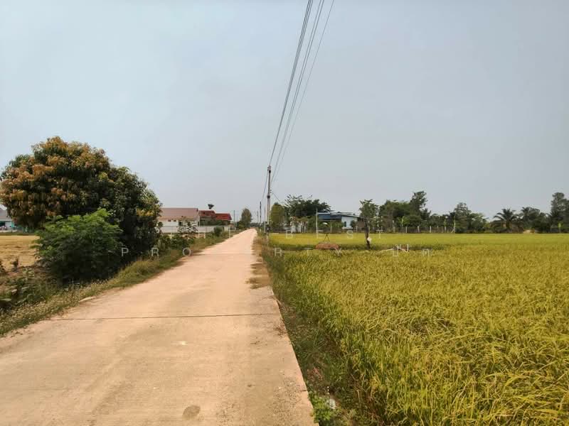 For Sale - ที่ดินบ้านกร่าง พิษณุโลก, Phitsanulok