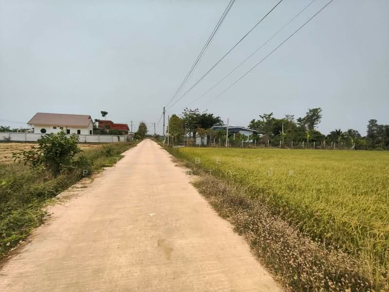 ที่ดินบ้านกร่าง พิษณุโลก, พิษณุโลก, บ้านกร่าง, เมืองพิษณุโลก, พิษณุโลก, 5,460 ตร.ม., ที่ดิน ขาย, โดย The Best Property ปัต, 500236591 - DDproperty.com