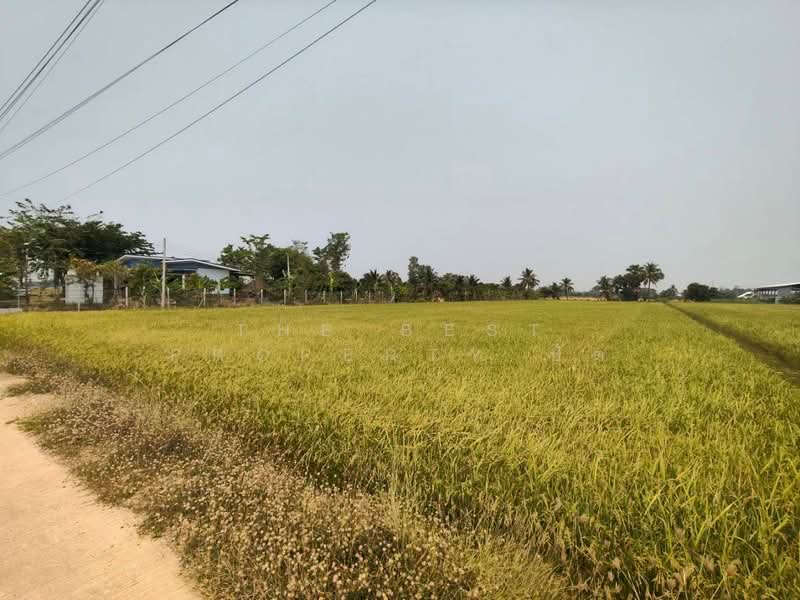 ที่ดินบ้านกร่าง พิษณุโลก, พิษณุโลก, บ้านกร่าง, เมืองพิษณุโลก, พิษณุโลก, 5,460 ตร.ม., ที่ดิน ขาย, โดย The Best Property ปัต, 500236591 - DDproperty.com