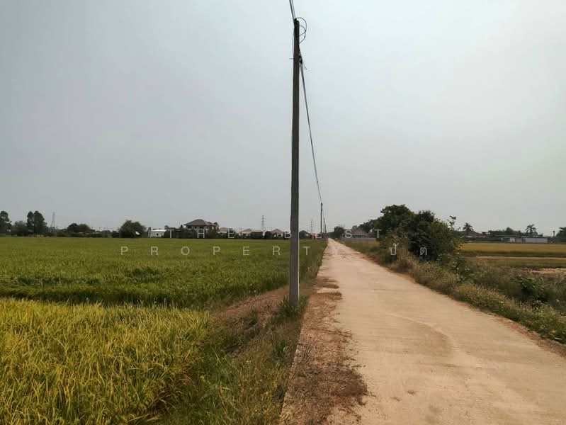 ที่ดินบ้านกร่าง พิษณุโลก, พิษณุโลก, บ้านกร่าง, เมืองพิษณุโลก, พิษณุโลก, 5,460 ตร.ม., ที่ดิน ขาย, โดย The Best Property ปัต, 500236591 - DDproperty.com