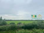 ที่ดินเปล่า ปากพลี นครนายก 21-1-55 ไร่, นครนายก