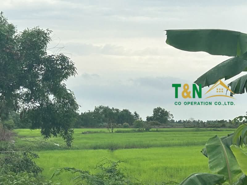 ที่ดินเปล่า ปากพลี นครนายก 21-1-55 ไร่, Nakhon Nayok, Tha Rua, Pak Phli, Nakhon Nayok, , 34,220 sqm, Land For Sale, by MANANYA PHATHONG, 500236625 - DDproperty.com