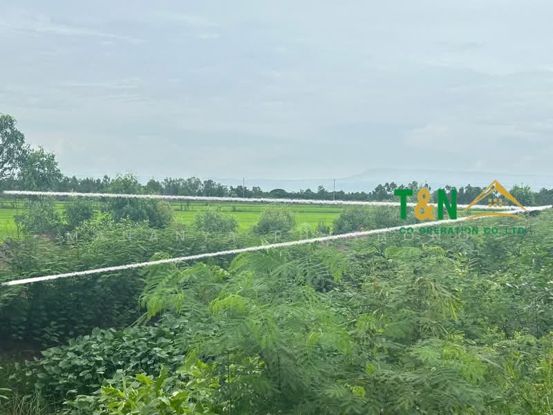 ที่ดินเปล่า ปากพลี นครนายก 21-1-55 ไร่, Nakhon Nayok, Tha Rua, Pak Phli, Nakhon Nayok, , 34,220 sqm, Land For Sale, by MANANYA PHATHONG, 500236625 - DDproperty.com