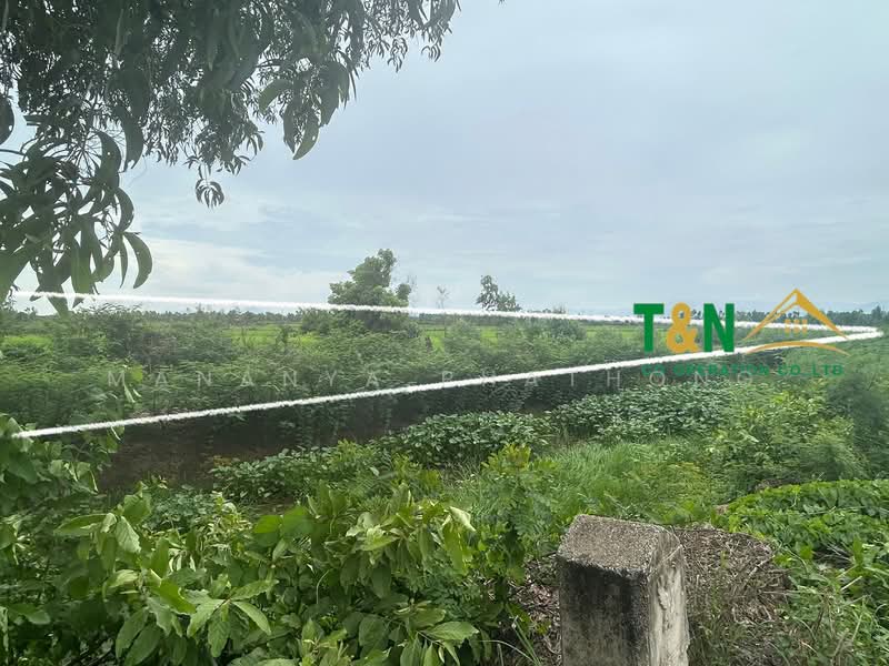 ที่ดินเปล่า ปากพลี นครนายก 21-1-55 ไร่, นครนายก, ท่าเรือ, ปากพลี, นครนายก, 34,220 ตร.ม., ที่ดิน ขาย, โดย MANANYA PHATHONG, 500236625 - DDproperty.com